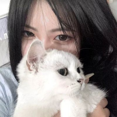 龙痕传奇纪元官方