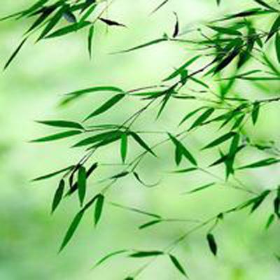 传世热血游戏
